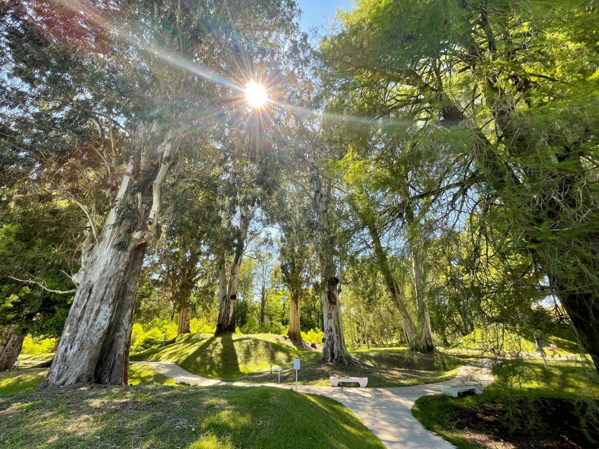 Villa Story Hotel Шекветілі Екстер'єр фото